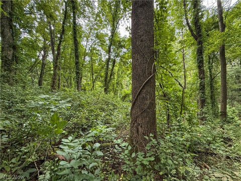 Tiny photo for 62459 Greenlawn Road, Quaker City, OH 43773 (MLS # 5239450)