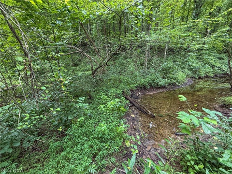 Tiny photo for 62459 Greenlawn Road, Quaker City, OH 43773 (MLS # 5239450)