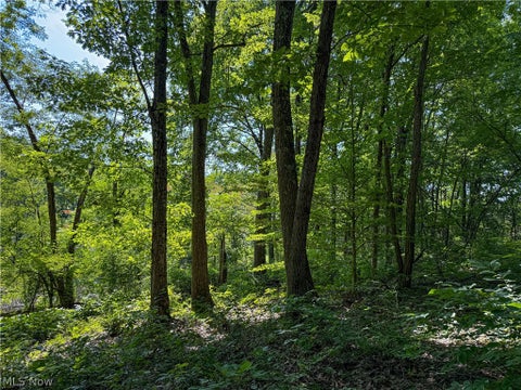 Tiny photo for 62459 Greenlawn Road, Quaker City, OH 43773 (MLS # 5239450)