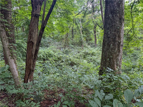 Tiny photo for 62459 Greenlawn Road, Quaker City, OH 43773 (MLS # 5239450)