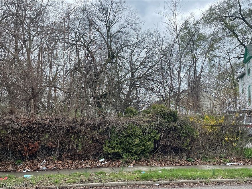 Hough development opportunity! So much is happening in the neighborhood which is adjacent to the Cleveland Clinic and the institutions of University Circle. Be a part of the area's future and join the other developments popping up all over the neighborhood. Lot is zoned Medium Density Apartment.  Lot next door also available, MLS #5030153.