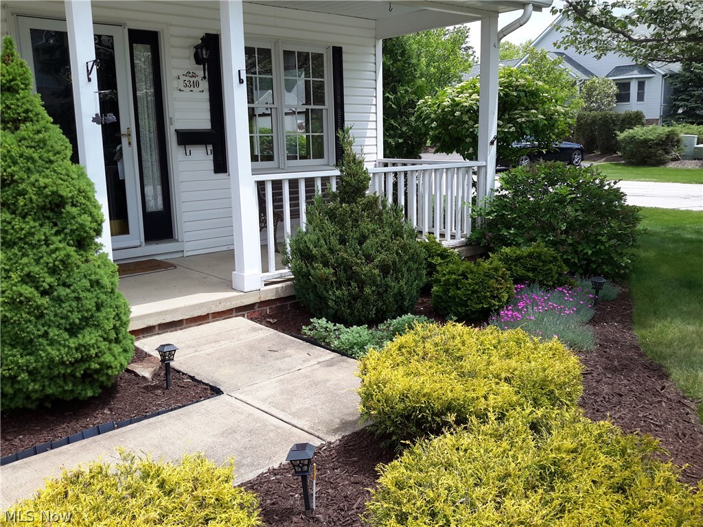 Swan Lake - Residential