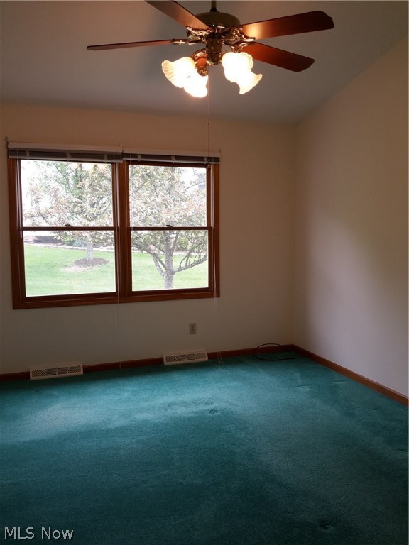 Swan Lake - Residential