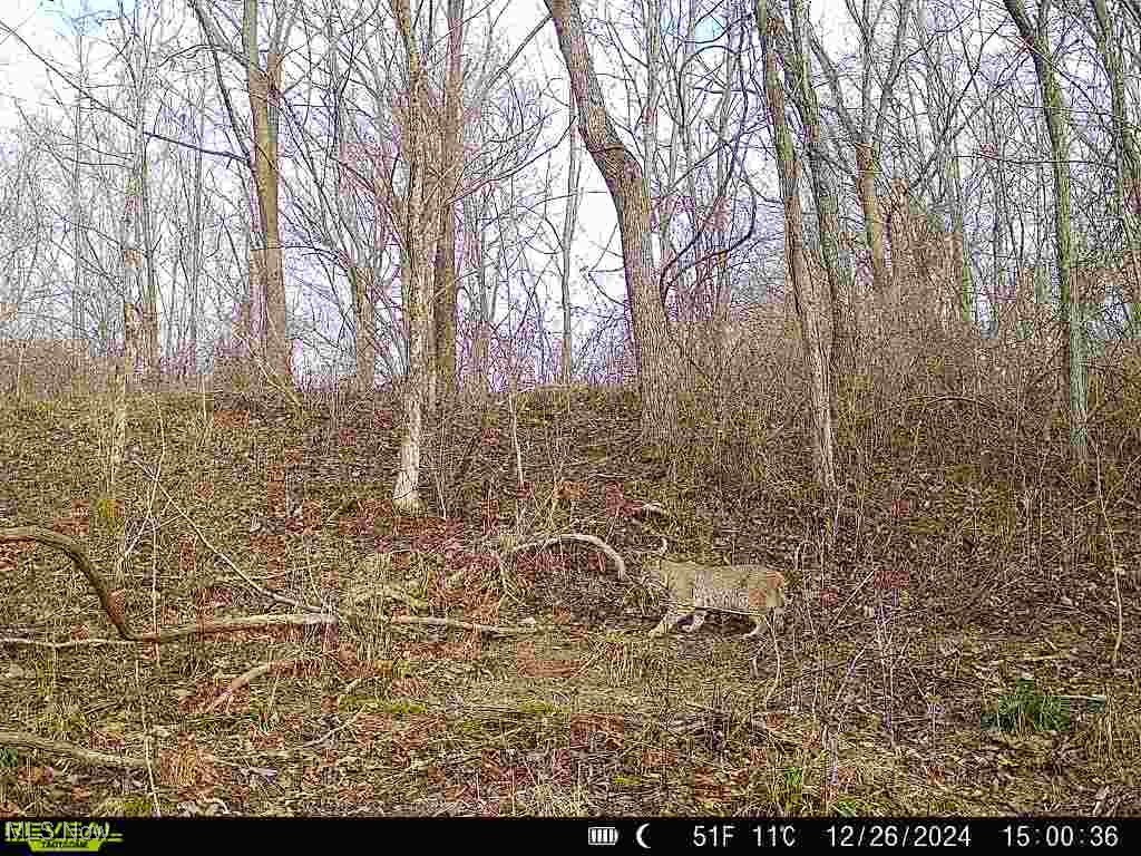 53134 Garvin School Road, Cumberland, Ohio image 3
