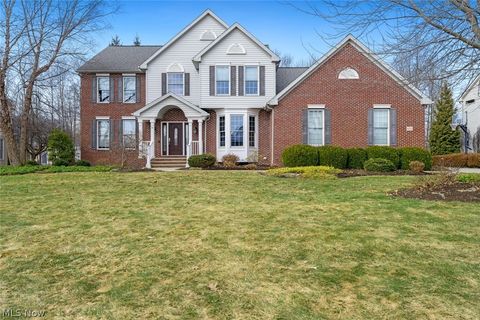 652 Treeside Lane Avon Lake OH 44012