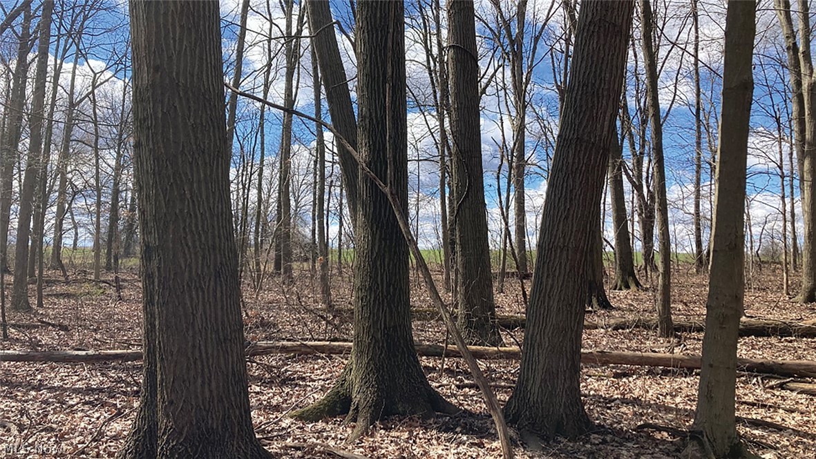 Palmyra Div 03 - Land