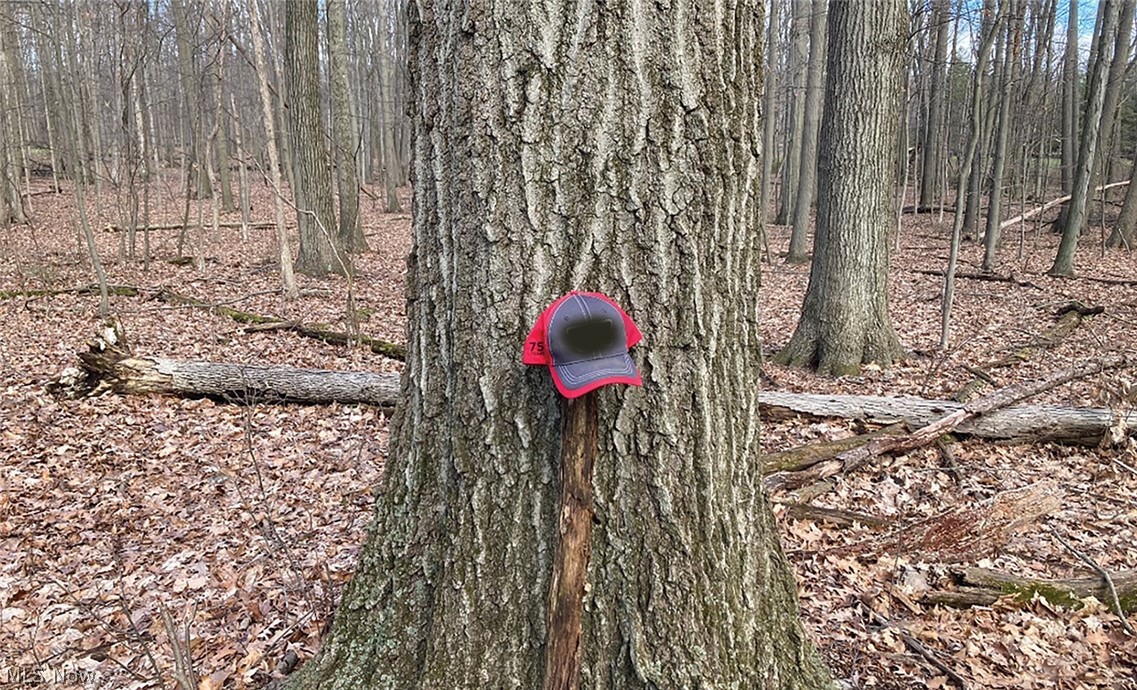 Palmyra Div 03 - Land