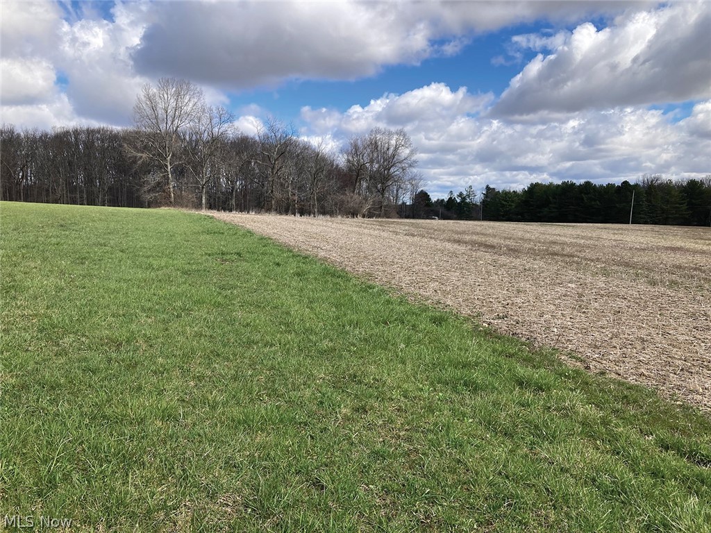 Palmyra Div 03 - Land