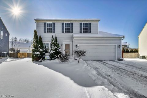 Homes For Sale - 612 S Settlers Lane<br/> Lake County, Painesville, OH 44077