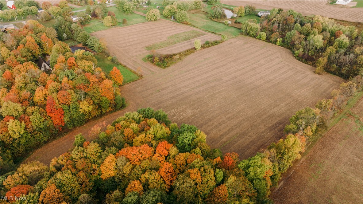 Beechwood Avenue, Paris, Ohio image 4