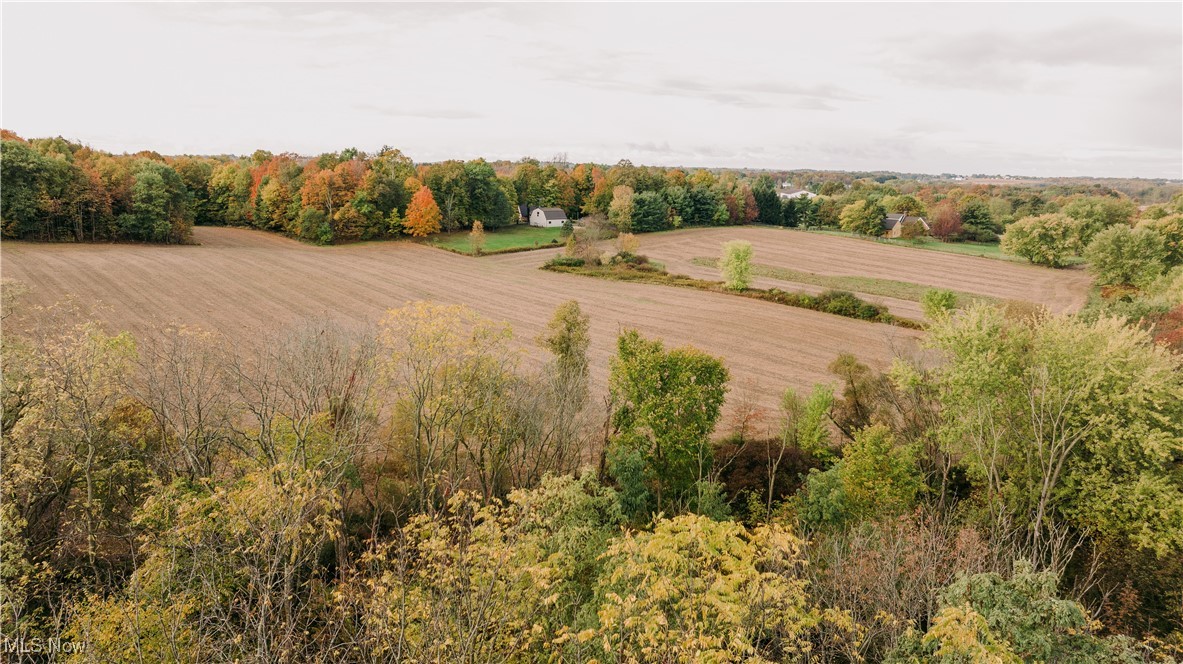 Beechwood Avenue, Paris, Ohio image 8