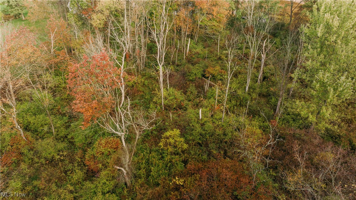 Beechwood Avenue, Paris, Ohio image 9