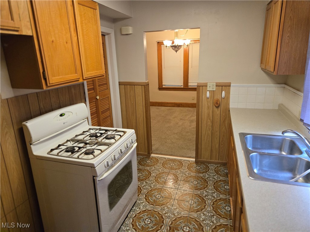 Turner North Hill Allotment - Residential