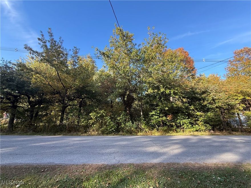 Discover a rare opportunity to build your home in Austintown on a combined 0.44-acre parcel composed of four separate lots. Nestled within the Austintown Local School District, this property offers both flexibility and convenience in one desirable package. 
Proximity to shopping, and dining, you’ll be close to local amenities, retail corridors, and transportation routes. Quiet, residential setting with potential for good privacy.