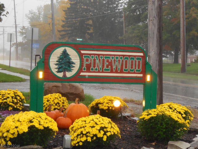 Pinewood Condo - Residential