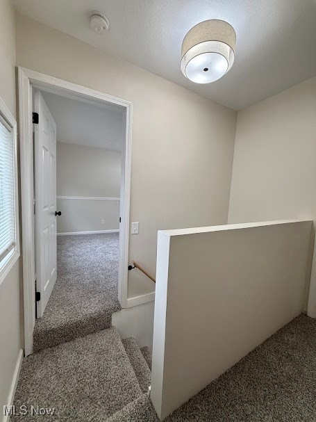 Brooklyn Rdg - Residential