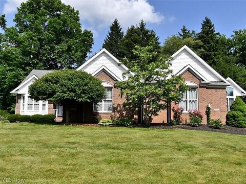 Condo For Sale - 220 Blue Winged Dr<br/> Trumbull County, Warren, OH 44484