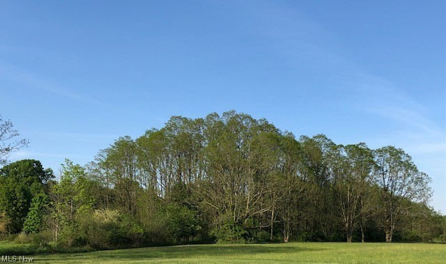 Photo 1 of 4 — Kingsville Road, Cortland, OH 44410