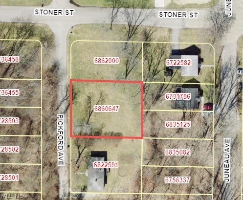 Victory Park Allotment - Land