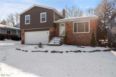 Photo of 4808 Geraldine Avenue, Richmond Heights, OH 44143 (MLS # 5179058)