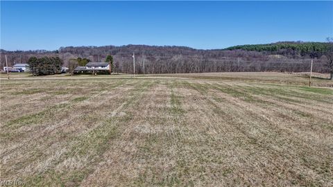 Vacant Land For Sale - 29100 Flat Run Road Rd<br/> Knox County, Danville, OH 43014