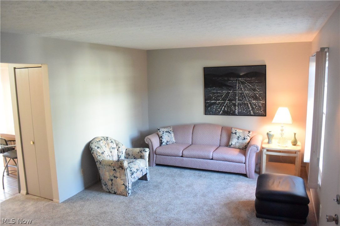 Village In Falls Condo - Residential
