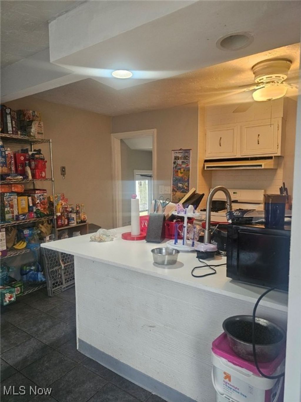 Photo of 1149 Dorsh Road, South Euclid, OH 44121 (MLS # 5176696)