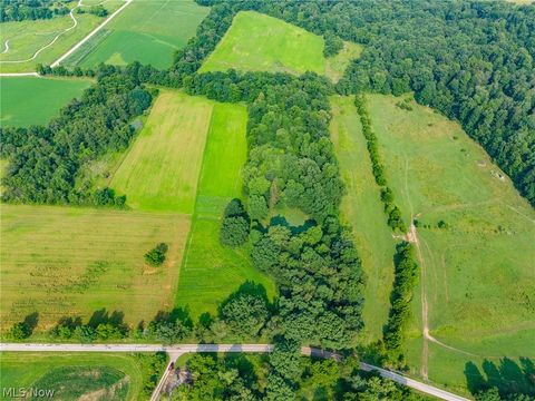 Vacant Land For Sale - Stone Ave<br/> Navarre, OH 44662