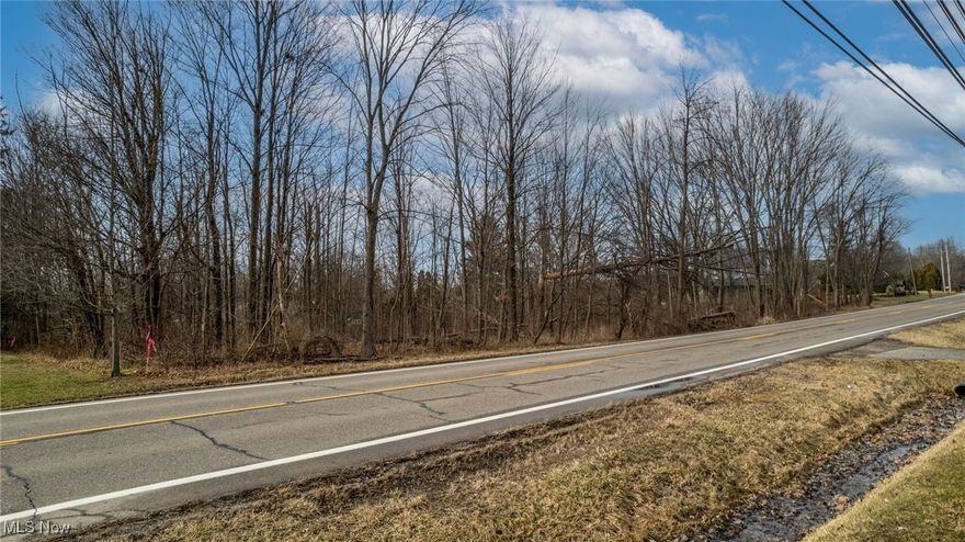 Bring your dream home to life on this 1.20-acre flat, buildable lot located in a highly desirable Cortland area along Route 46. Offering an ideal blend of space, privacy, and convenience, the property provides easy access to local amenities while maintaining a peaceful setting. This blank canvas is ready for your custom vision—start planning today. Buyer to verify all utilities, zoning, and building requirements.