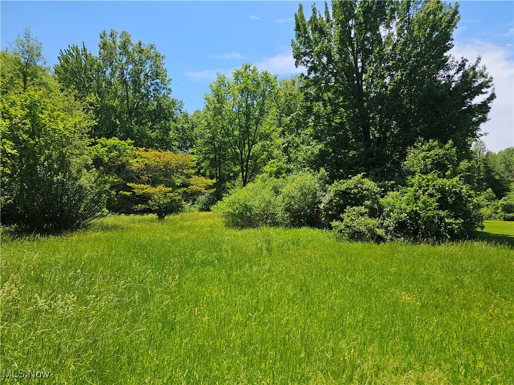 Van Etten Farm - Residential