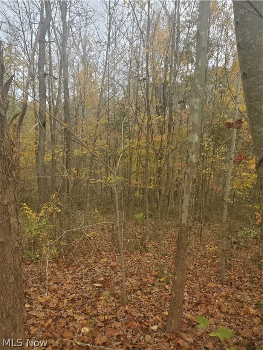 Vacant lot in Honey Run Village conveniently located between Millersburg and Berlin. The parcel consists of 5.097 acres of wooded land. Located on a paved private road in a great neighborhood. Great location to build your DREAM home!