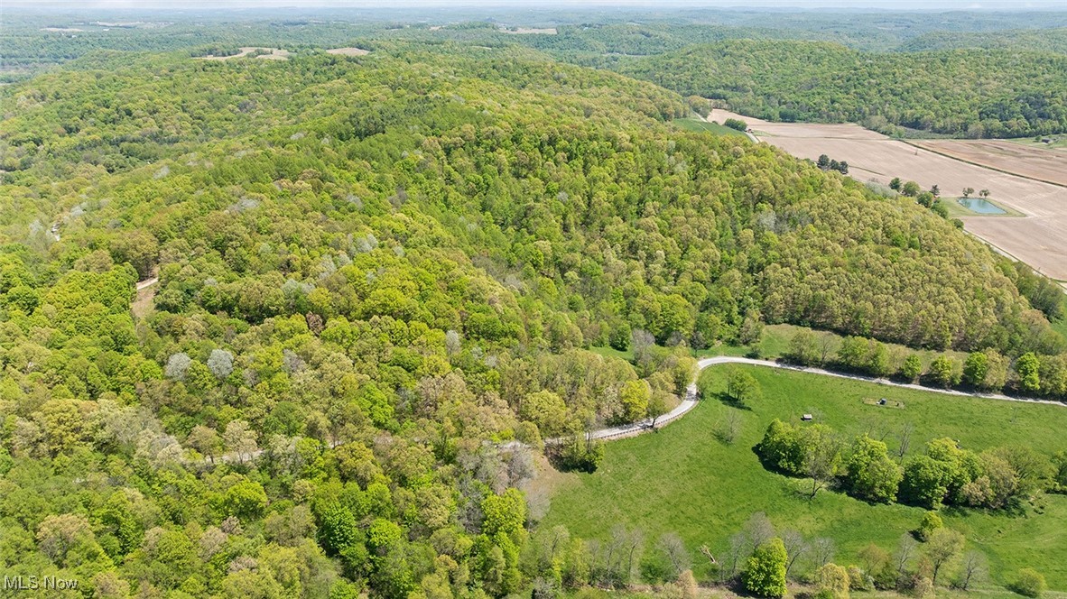 40319 County Road 19, Killbuck, Ohio image 46