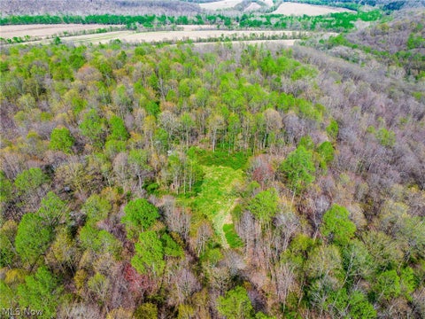 Vacant Land For Sale - Us Route  36<br/> Warsaw, OH 43844