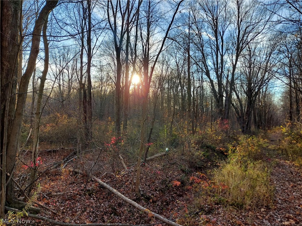 Magnolia Drive, Madison, Ohio image 3