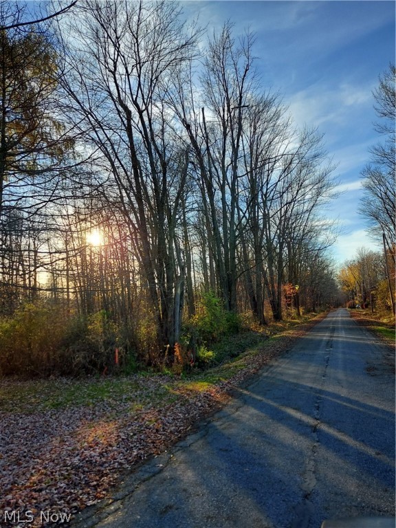 Magnolia Drive, Madison, Ohio image 1