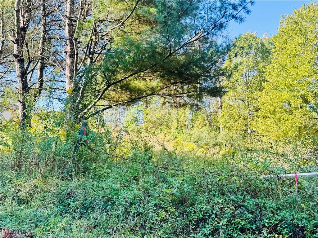 Buckey-Haines SD - Residential