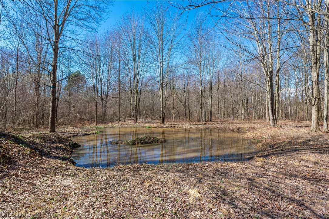 Bruce Pines Sub - Residential