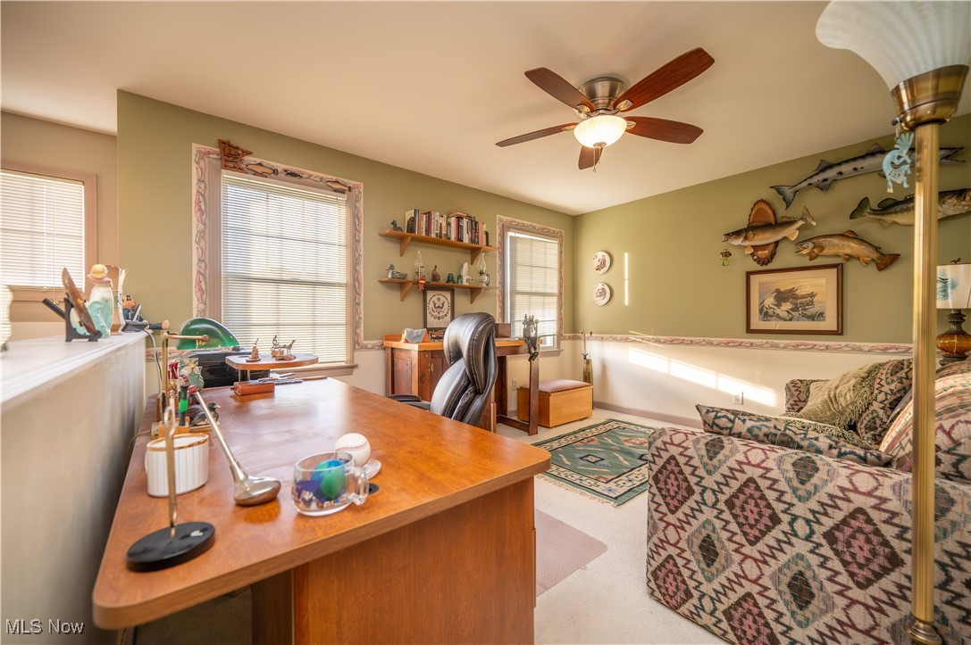 Ivy Hills - Residential