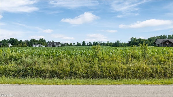 OLD MILL RD, SPENCER, OH 44275 - Image ef7bb31b14bf99e142d63e6ee890115d/1000897524