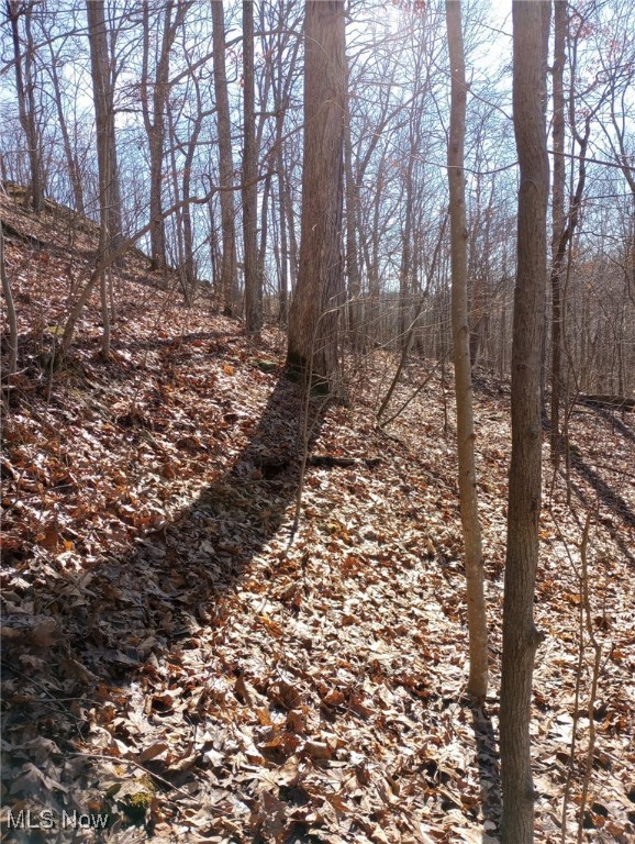 Road Fork Road, Caldwell, Ohio image 8