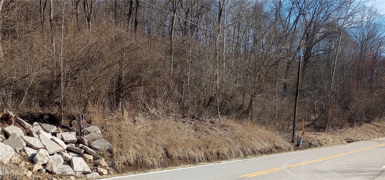 Road Fork Road, Caldwell, Ohio image 11