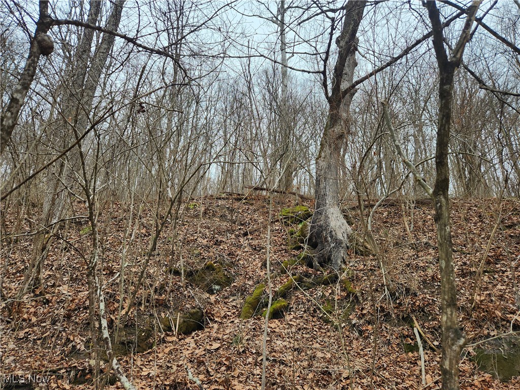 Road Fork Road, Caldwell, Ohio image 16