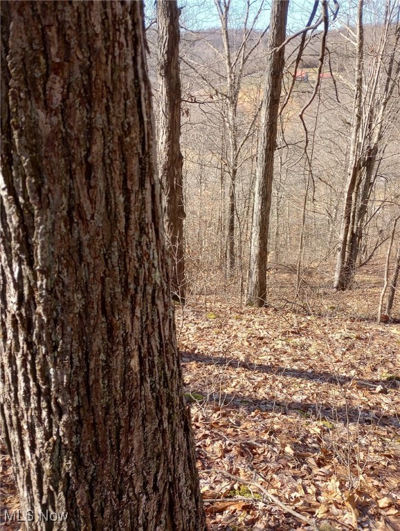 Road Fork Road, Caldwell, Ohio image 7