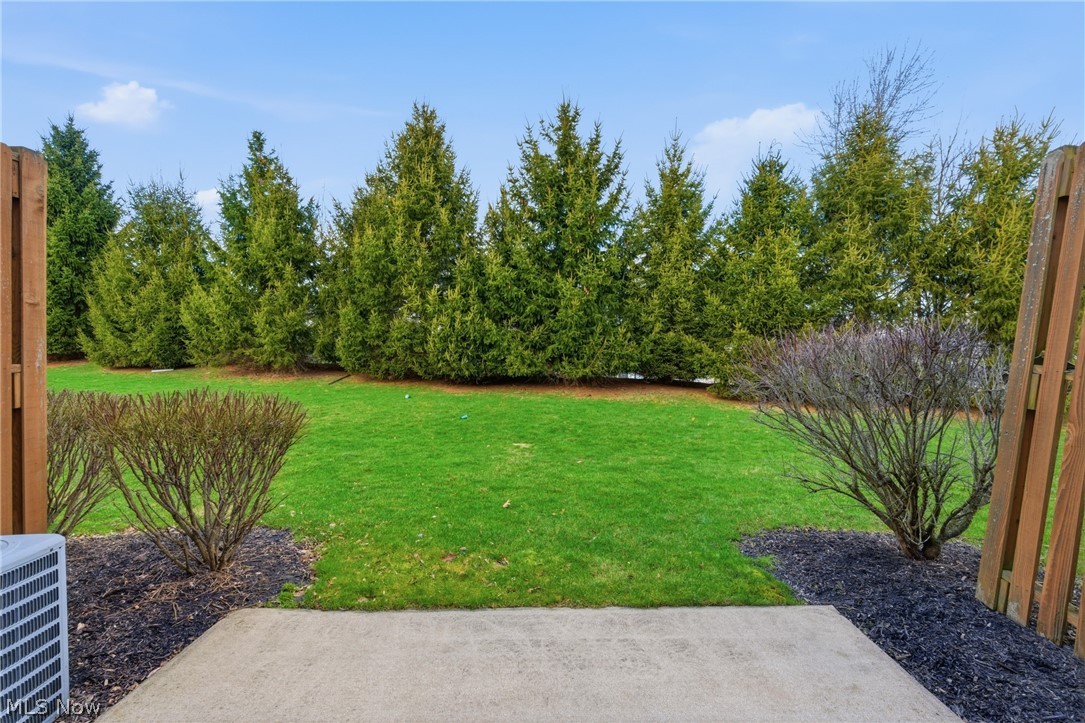 Meadows/Copley - Residential