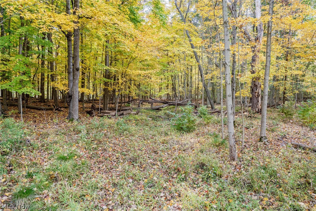 Hunting Hollow - Residential