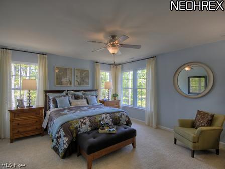 Tiberon Trace - Residential