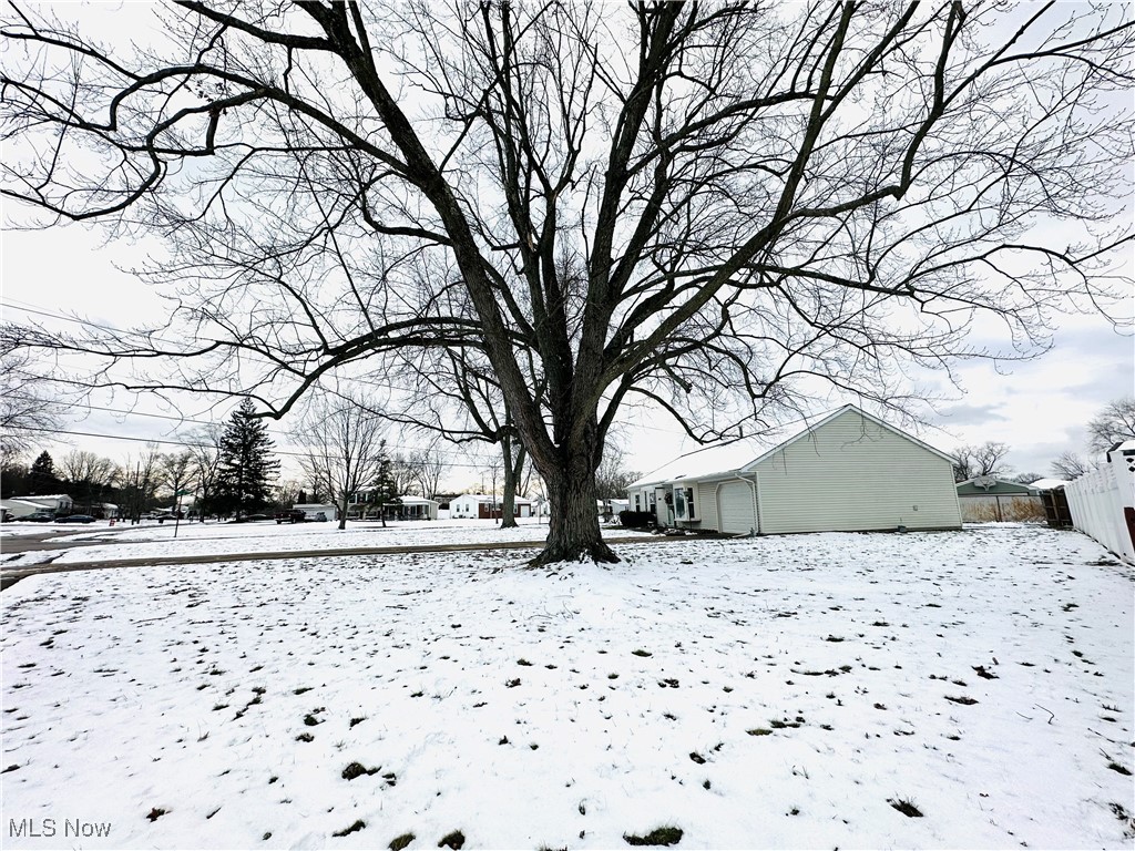 College Park - Residential