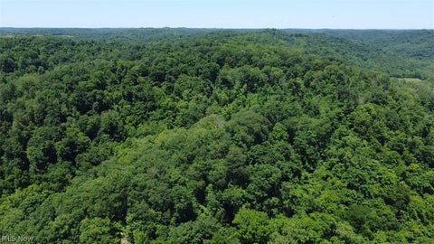 Tiny photo for 37473 State Route 7, Newport, OH 45768 (MLS # 5213641)