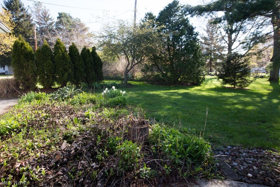 Robin Park 02 - Residential