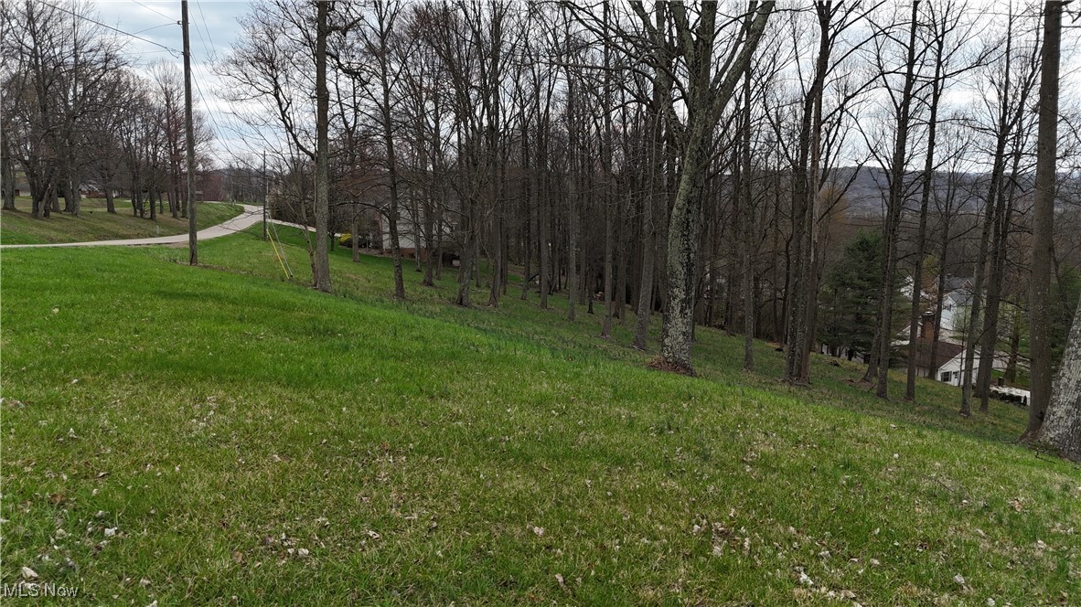 Nicholas Lane, Dresden, Ohio image 3